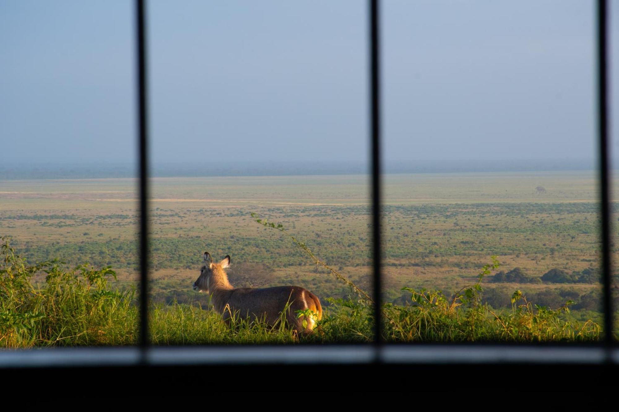 Voi Safari Lodge Eksteriør bilde