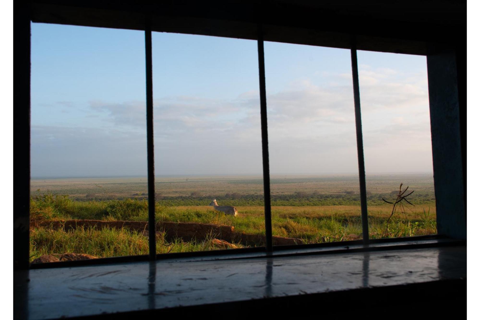 Voi Safari Lodge Eksteriør bilde